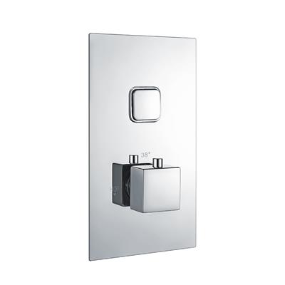 Square Concealed Ther.Single Push But.Shower Valve