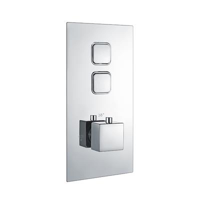 Square Concealed Ther.Double Push But.Shower Valve