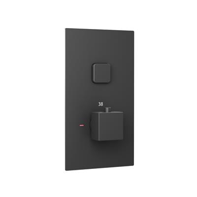 Concealed Thermostatic Shower Valve with Single Square Push Button - Matt Smooth Black