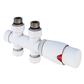 Straight Twin inlet Thermostatic Radiator Valve 15mm Gloss White
